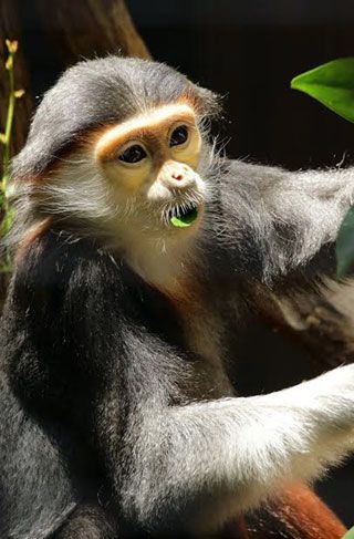 「ちいくま写真館」さんからの投稿写真＠よこはま動物園ズーラシア