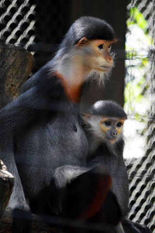 「写ガ～ル」さんからの投稿写真＠よこはま動物園ズーラシア