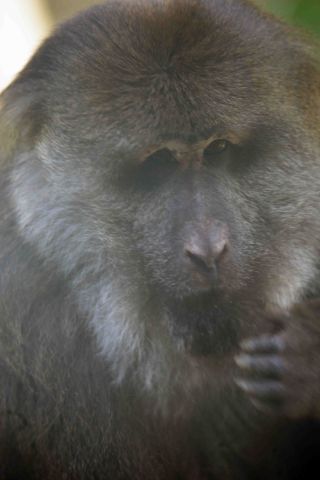 「写楽」さんからの投稿写真＠横浜市立ズ−ラシア動物園