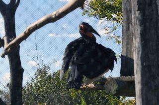 「一水」さんからの投稿写真＠横浜動物園ズ−ラシア