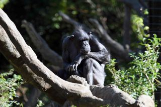 「一水」さんからの投稿写真＠横浜動物園ズ−ラシア