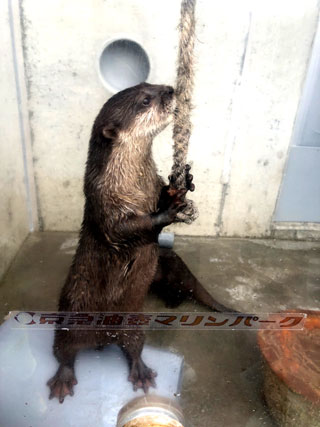 「まゆぼう」さんからの投稿写真＠京急油壺マリンパーク