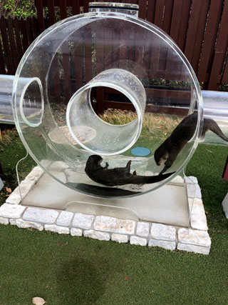 「まゆぼう」さんからの投稿写真＠京急油壺マリンパーク