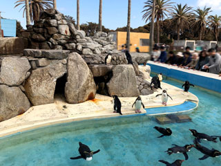 「まゆぼう」さんからの投稿写真＠京急油壺マリンパーク