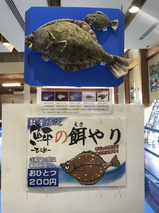 「K」さんからの投稿写真＠とっとり賀露かにっこ館