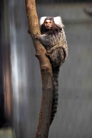 「写楽」さんからの投稿写真＠夢見ヶ崎動物公園