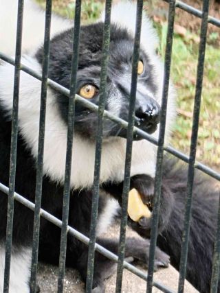 「写楽」さんからの投稿写真＠夢見ヶ崎動物公園