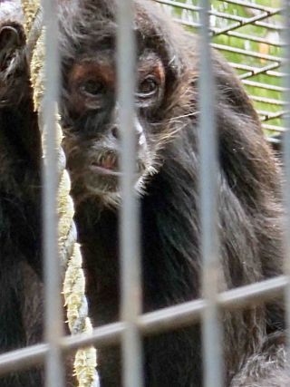 「写楽」さんからの投稿写真＠夢見ヶ崎動物公園