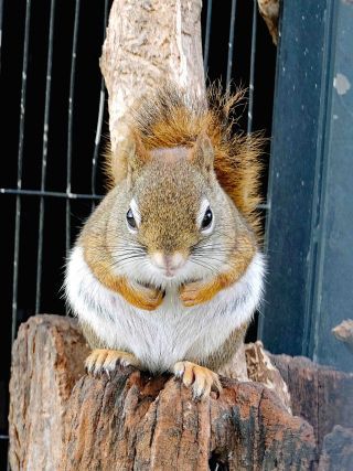 「一水」さんからの投稿写真＠川崎市立夢見ヶ崎動物公園