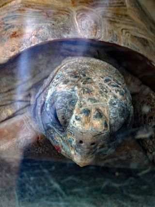 「一水」さんからの投稿写真＠川崎市立夢見ヶ崎動物公園