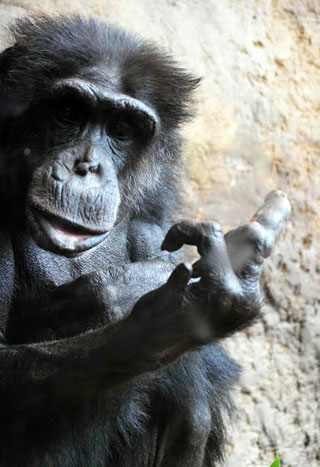 「写ガ～ル」さんからの投稿写真＠横浜市立金沢動物園