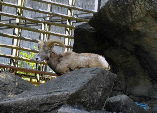 「一水」さんからの投稿写真＠横浜市立金沢動物園