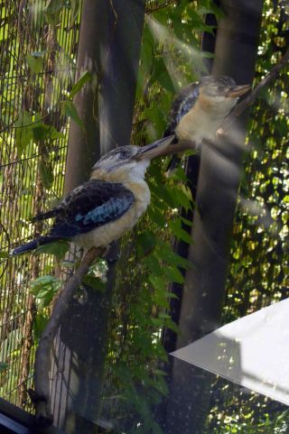 「一水」さんからの投稿写真＠横浜市立金沢動物園