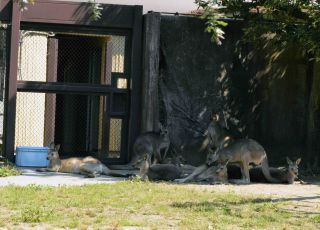 「一水」さんからの投稿写真＠横浜市立金沢動物園