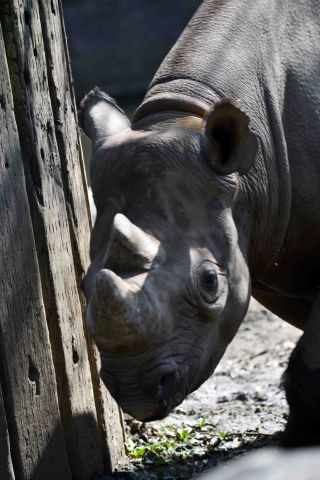 「写楽」さんからの投稿写真＠横浜市立金沢動物園