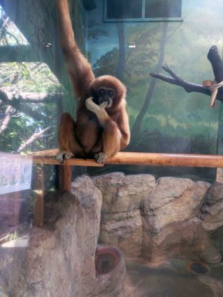 「一水」さんからの投稿写真＠横浜市立金沢動物園