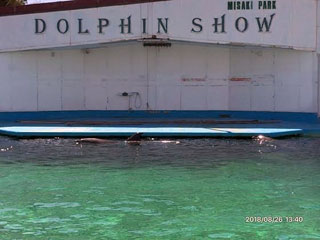 「とし」さんからの投稿写真＠みさき公園