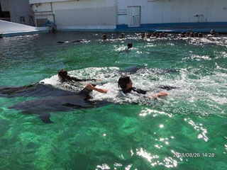 「とし」さんからの投稿写真＠みさき公園