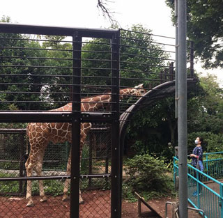 「まゆぼう」さんからの投稿写真＠横浜市立野毛山動物園