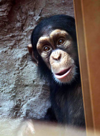 「写楽」さんからの投稿写真＠横浜市立野毛山動物園