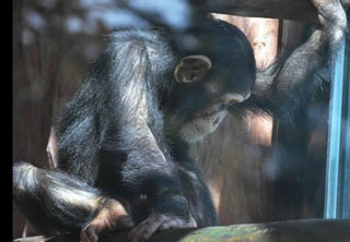 「写ガ～ル」さんからの投稿写真＠横浜市立野毛山動物園