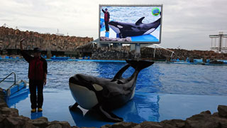 「HIBIKI」さんからの投稿写真＠名古屋港水族館