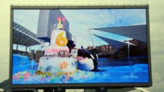 「HIBIKI」さんからの投稿写真＠名古屋港水族館