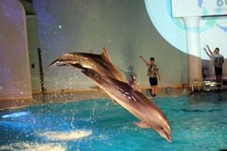 「saja」さんからの投稿写真＠神戸市立須磨海浜水族園