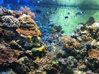 「saja」さんからの投稿写真＠神戸市立須磨海浜水族園