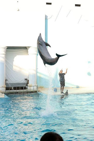 「saja」さんからの投稿写真＠神戸市立須磨海浜水族園