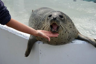 「かずよ」さんからの投稿写真＠神戸市立須磨海浜水族園