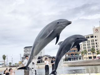 「zerolyst」さんからの投稿写真＠南知多ビーチランド
