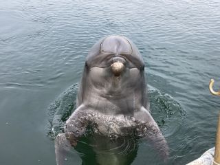 「zerolyst」さんからの投稿写真＠南知多ビーチランド