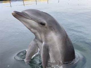 「zerolyst」さんからの投稿写真＠南知多ビーチランド