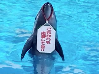 「zerolyst」さんからの投稿写真＠南知多ビーチランド