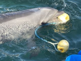 「zerolyst」さんからの投稿写真＠南知多ビーチランド