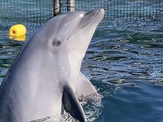 「zerolyst」さんからの投稿写真＠南知多ビーチランド