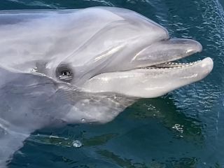 「zerolyst」さんからの投稿写真＠南知多ビーチランド