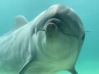 「zerolyst」さんからの投稿写真＠南知多ビーチランド