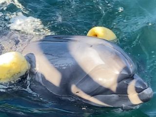 「zerolyst」さんからの投稿写真＠南知多ビーチランド