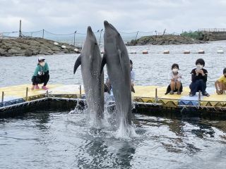 「zerolyst」さんからの投稿写真＠南知多ビーチランド