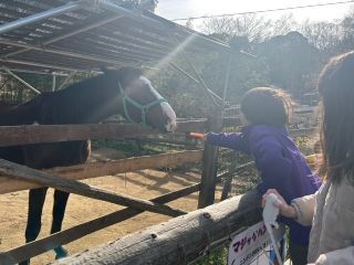 「ひとりーな」さんからの投稿写真＠しろとり動物園