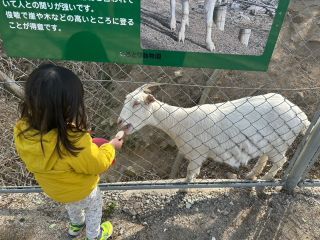 「ひとりーな」さんからの投稿写真＠しろとり動物園