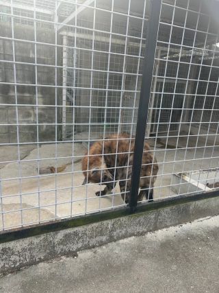 「ひとりーな」さんからの投稿写真＠しろとり動物園