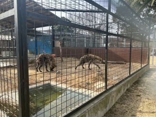 「ひとりーな」さんからの投稿写真＠しろとり動物園