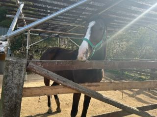 「ひとりーな」さんからの投稿写真＠しろとり動物園