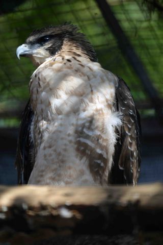 「写ガール」さんからの投稿写真＠東京都恩賜上野動物園