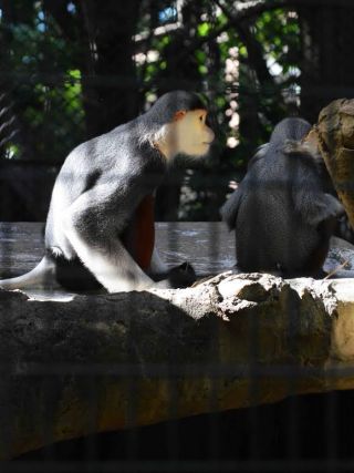 「写ガール」さんからの投稿写真＠よこはま動物園ズーラシア