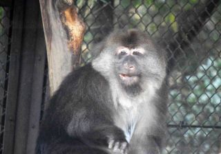 「写ガール」さんからの投稿写真＠よこはま動物園ズーラシア