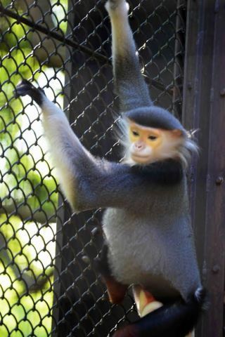 「写楽」さんからの投稿写真＠よこはま動物園ズーラシア